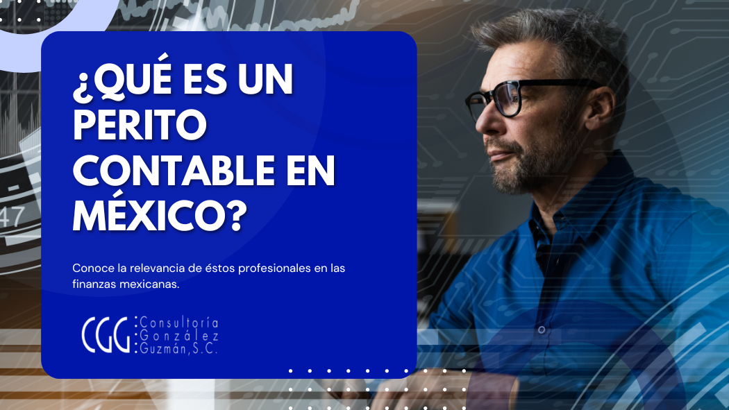 Que es perito contable
