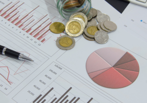 Control interno de obligaciones fiscales